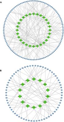 Construction of a novel miRNA regulatory network and identification of target genes in gestational diabetes mellitus by integrated analysis